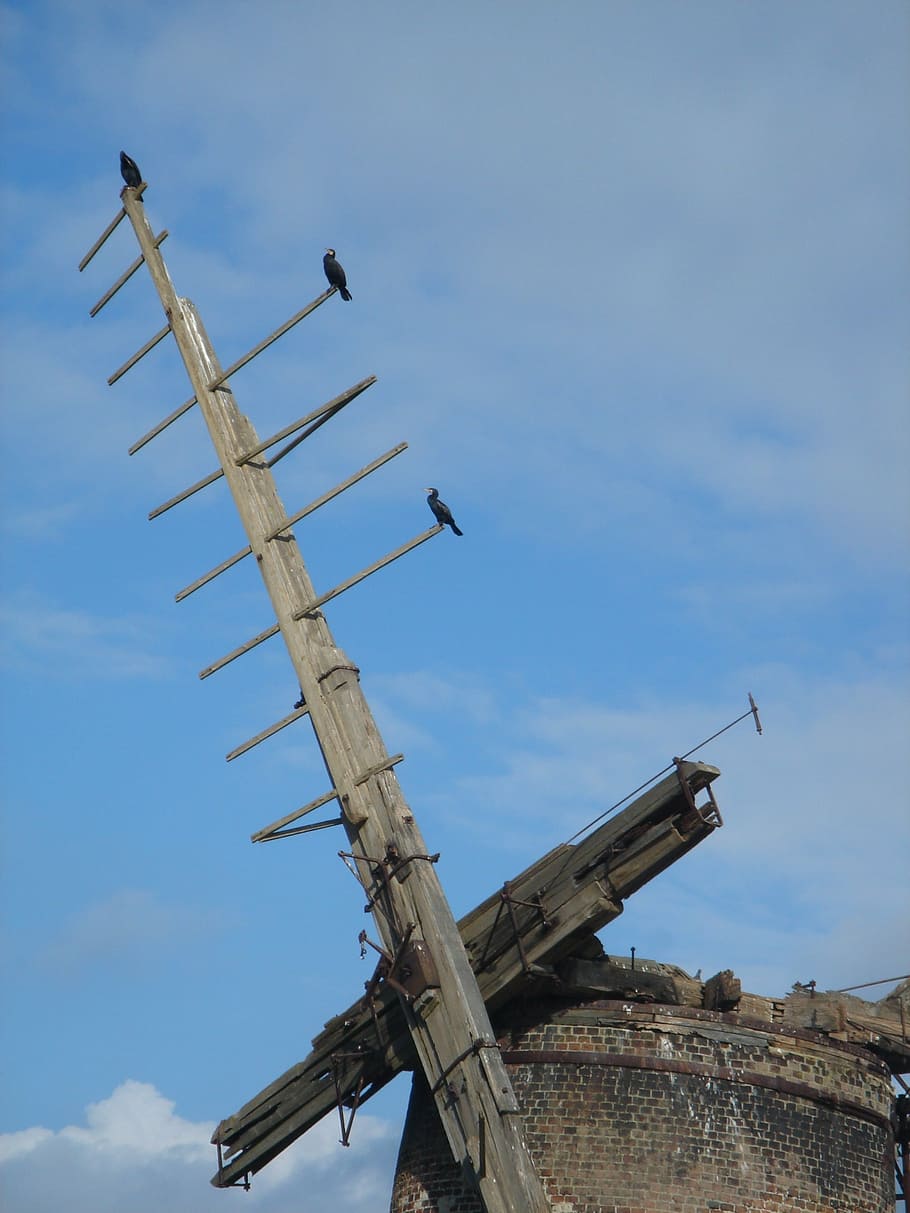 windmill, derelict, architecture, wooden, desolate, abandoned HD wallpaper