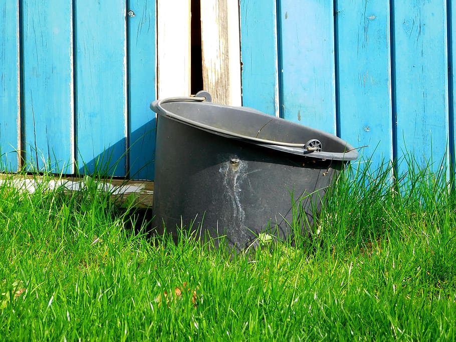 HD wallpaper: bucket, old, used, old bucket, worn, grass, plant, day