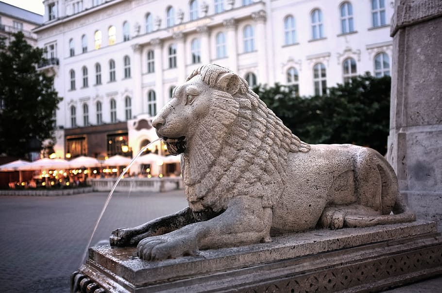 Fountain, Gargoyle, Architecture, budapest, statue, sculpture HD wallpaper