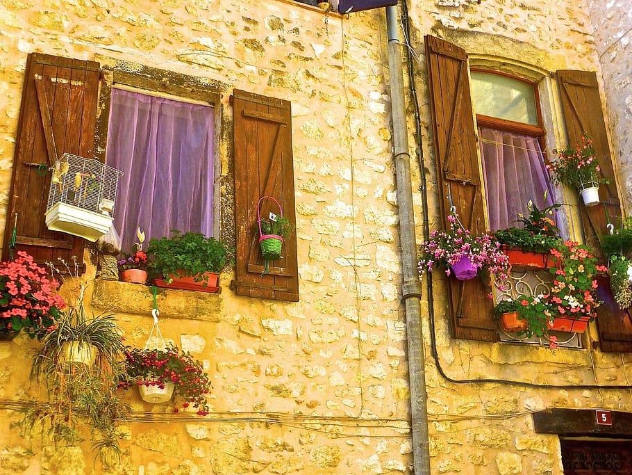 window, wall, exterior, colourful, flowers, residential, wood HD wallpaper