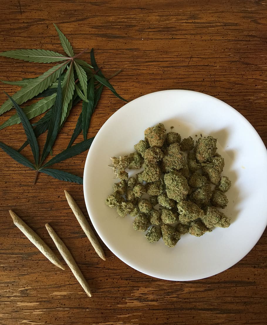 plate of green kush, cannabis, marijuana, weed, drug, hemp, medicine