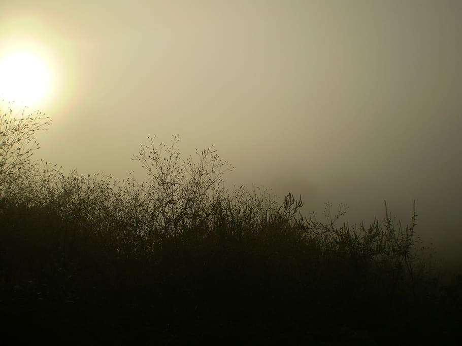 Fog, Silhouette, Mount, Blur, nature, field, outdoors, landscape HD wallpaper