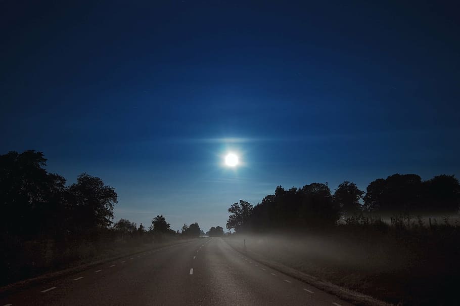 full moon, cloud, himmel, night, road, forest, tree, mist, nature HD wallpaper