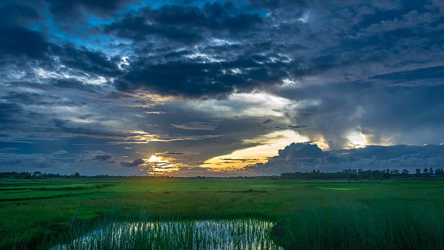 Nature, Cloud, Color, Green, Tree, sky, landscape, natural HD wallpaper