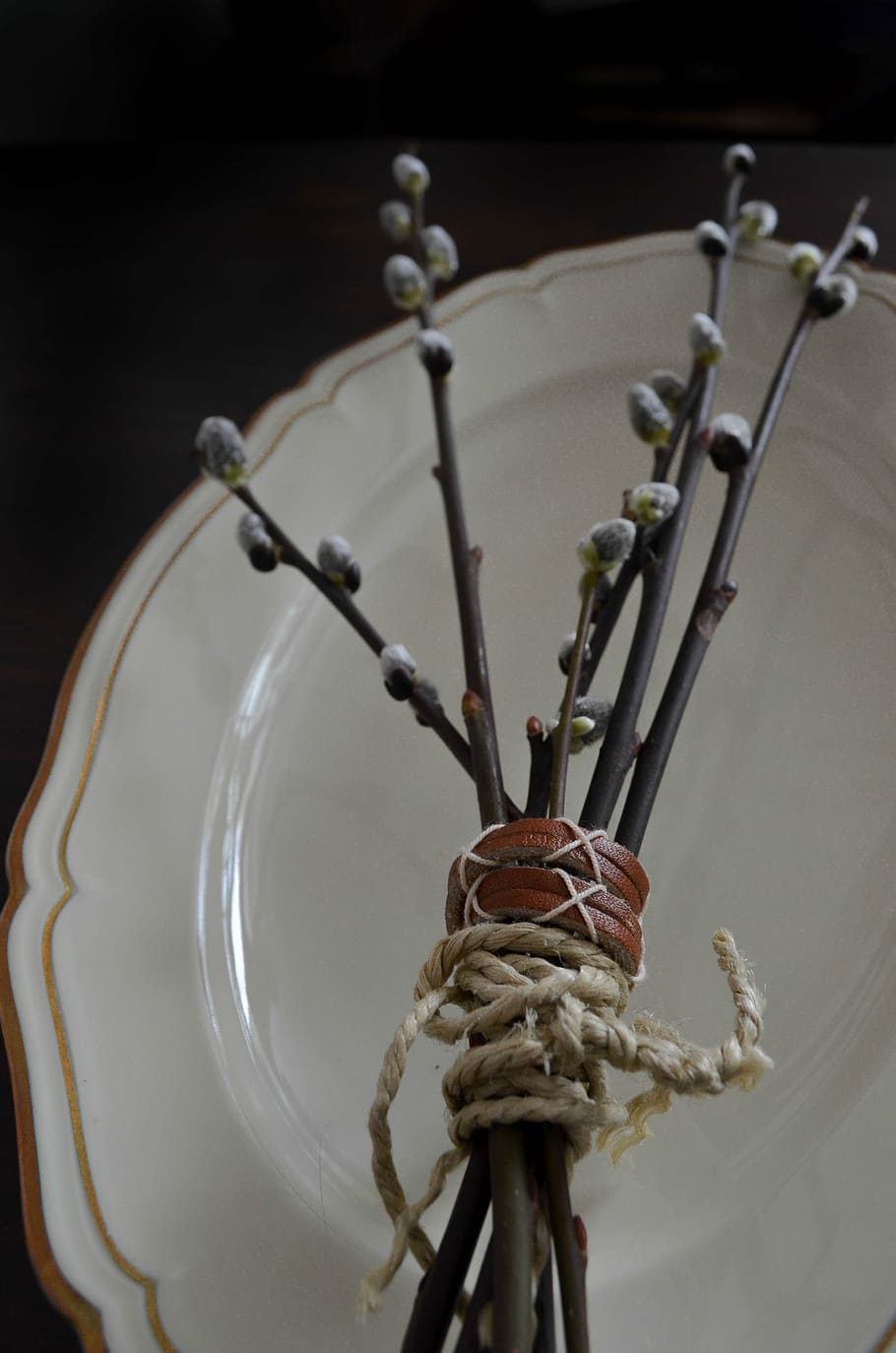 branches, easter, plate, antique, china, salix alba, willow HD wallpaper
