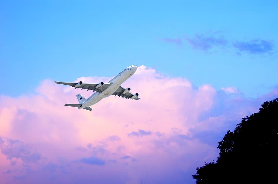 white airliner flying over tall green tree during daytime, sky HD wallpaper