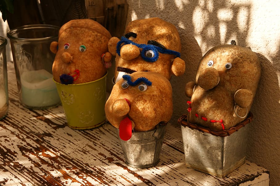 Heads, Grass, Faces, Cute, funny, grass head, cartoons, color HD wallpaper