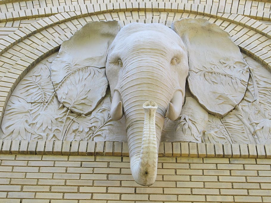 gray elephant head embossed wall, ornament, stone, design, artistic HD wallpaper