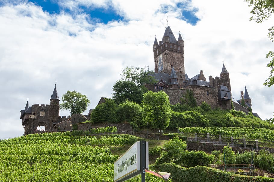 vineyard, castle, winegrowing, vines, architecture, built structure HD wallpaper