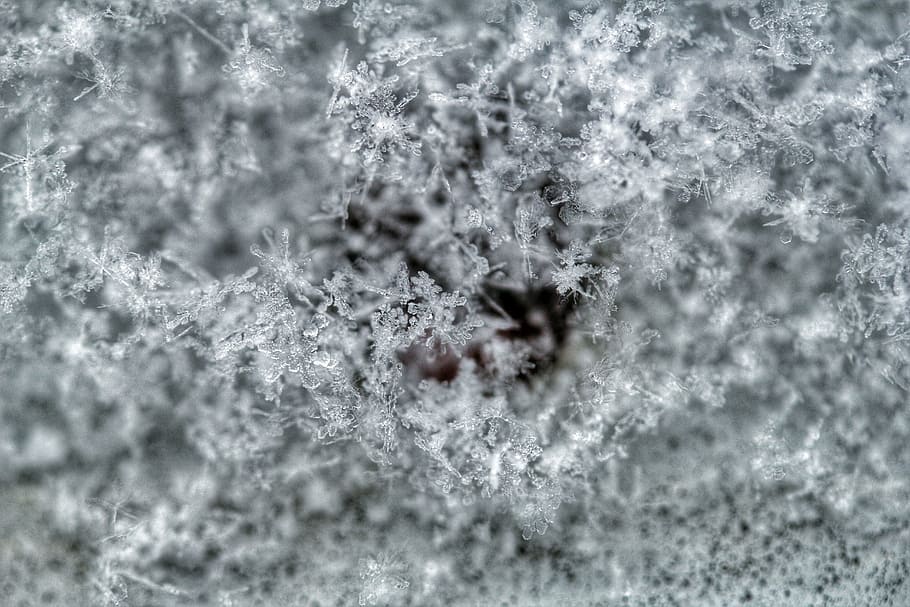 Snow Covered Ground, close -up, close-up, cold, crystals, frost HD wallpaper