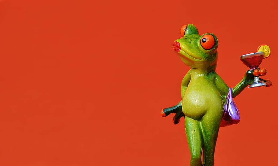 red-eyed tree frog illustration, chick, lady, arrogant, cocktail HD wallpaper