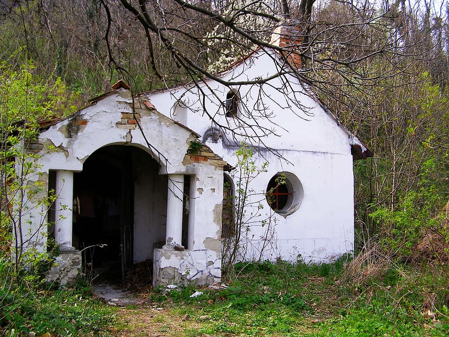 Rom, Abandoned Building, tree, built structure, house, door HD wallpaper