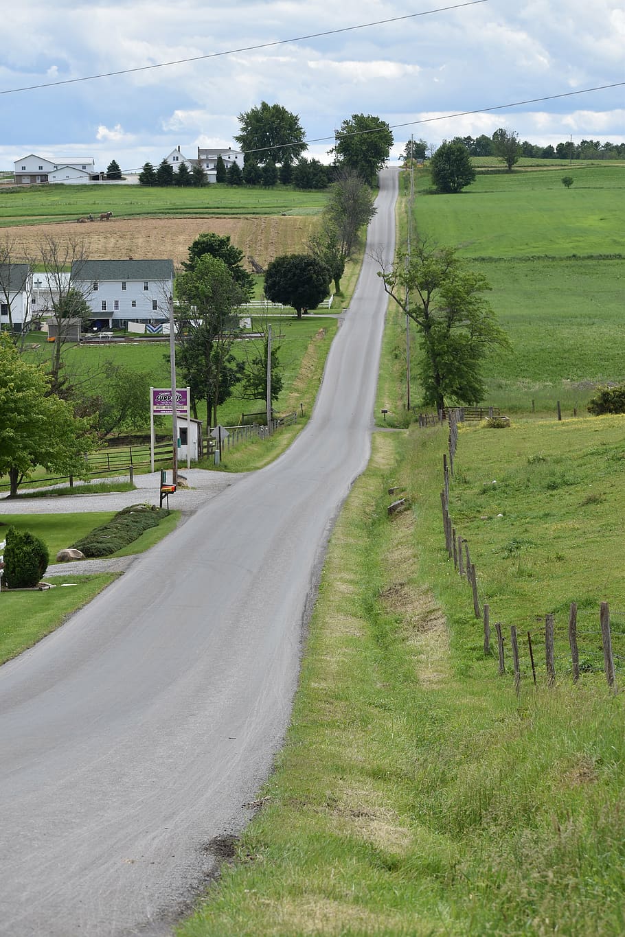 ohio, scenery, road, plant, landscape, environment, tree, transportation HD wallpaper