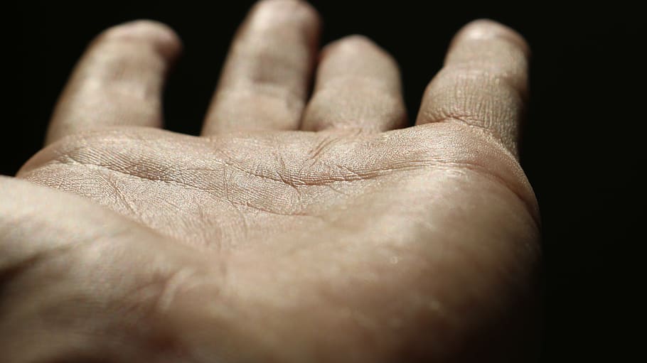 person showing left human palm, hand, pattern, abstract, structure HD wallpaper
