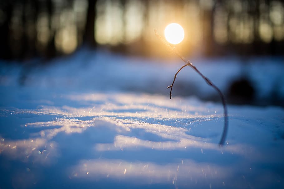 snow during sunset, wintry, sunrise, snowy, cold, nature, winter, HD wallpaper