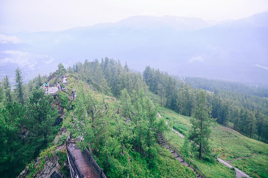bird's eye photography of brown wooden bridge near green leafed tree at mountain HD wallpaper