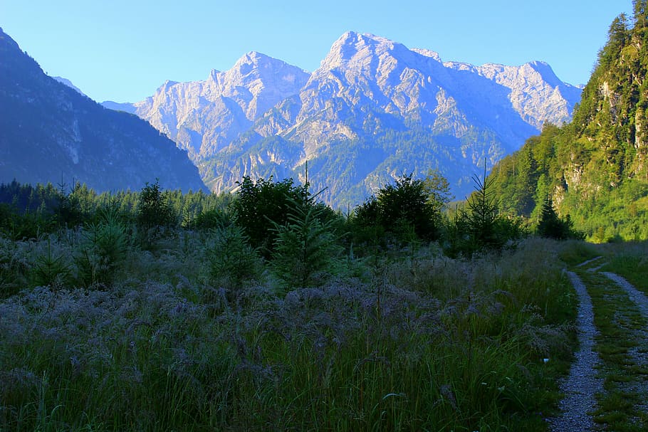 mountain, away, meadow, nature, landscape, trail, austria, hiking HD wallpaper