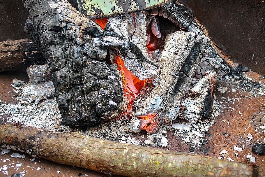 embers, fire, lena, campfire, log, fire - natural phenomenon HD wallpaper