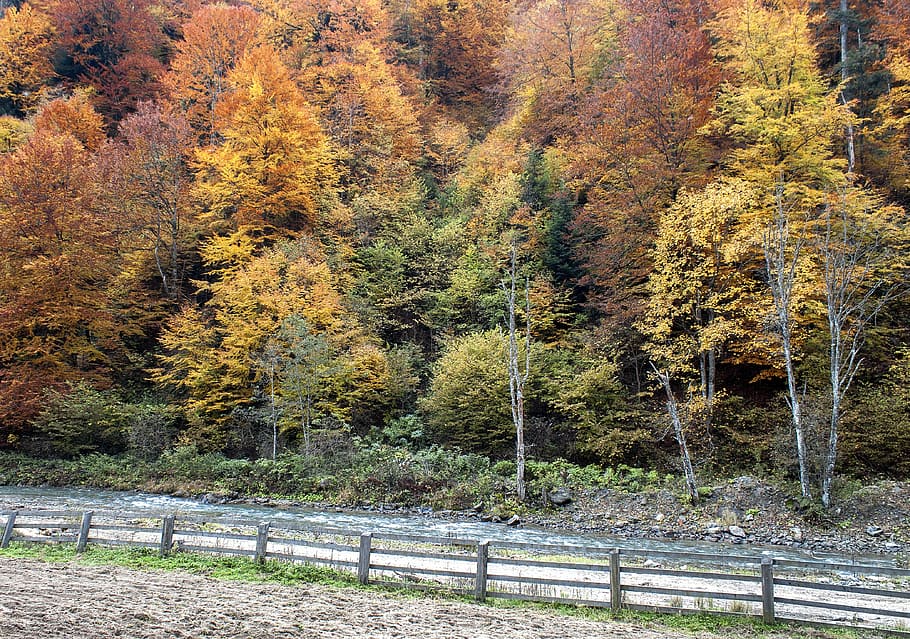 fall, river, season, nature, travel, scenic, landscape, tourism HD wallpaper