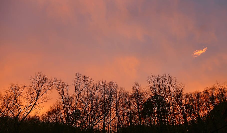 evening, sky, twilight, sunset sky, sky clouds, clouds sky HD wallpaper