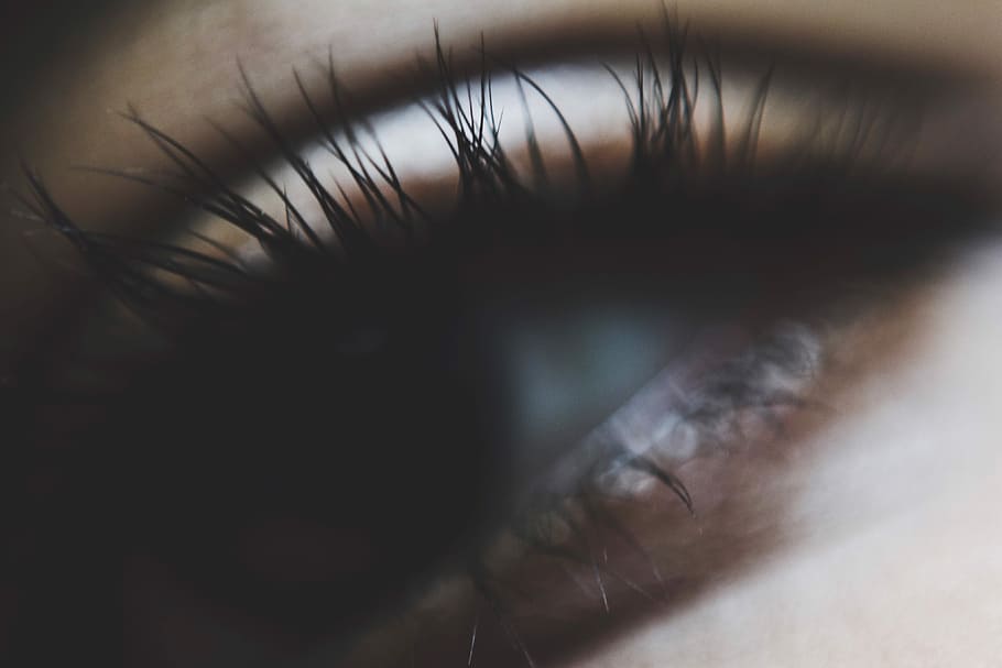 photography of person eye, eyelashes, face, gift, happiness HD wallpaper
