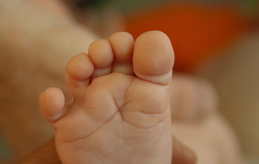 toddler's foot on selective focus photography, toes, baby, infant, HD wallpaper
