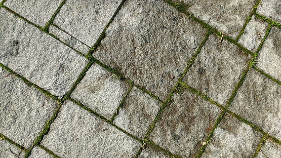 floor, texture, moss, soil, stone, paving stones, street, pavement HD wallpaper