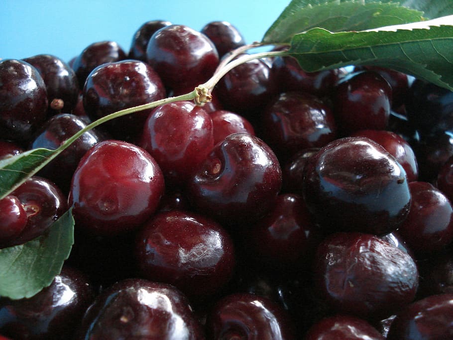 cherries, fruit, cherry, red, food, red fruits, foods, food and drink HD wallpaper