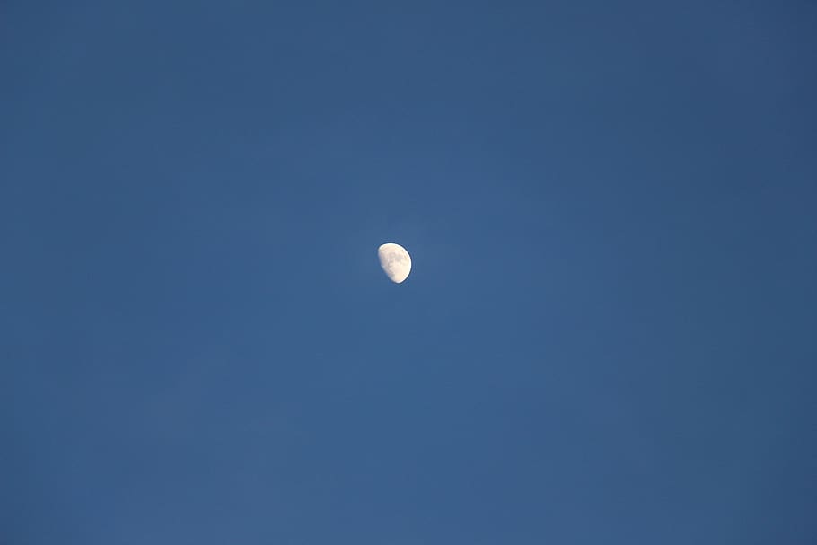 moon, half, half moon, sky, blue, night, atmosphere, twilight HD wallpaper