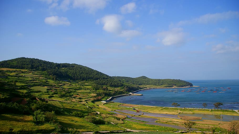 klitschko, whether or not, sea, nature, coastline, landscape HD wallpaper