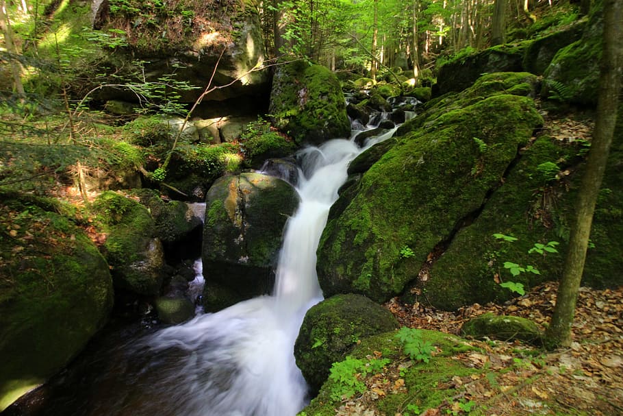 Water, Rock, Moss, Forest, Forest, River, Waters, idyllic, mood HD wallpaper