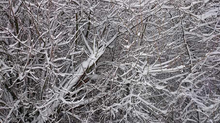 nature, frost, texture, abstract, cold, the background, no one HD wallpaper