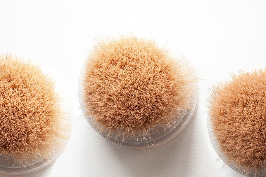 powder, structure, fund, brush, soft, cosmetics, talk, soft mineralie HD wallpaper