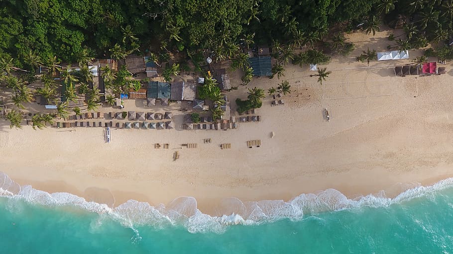 aerial view of beach, top view photography of houses beside beach and trees at daytime HD wallpaper