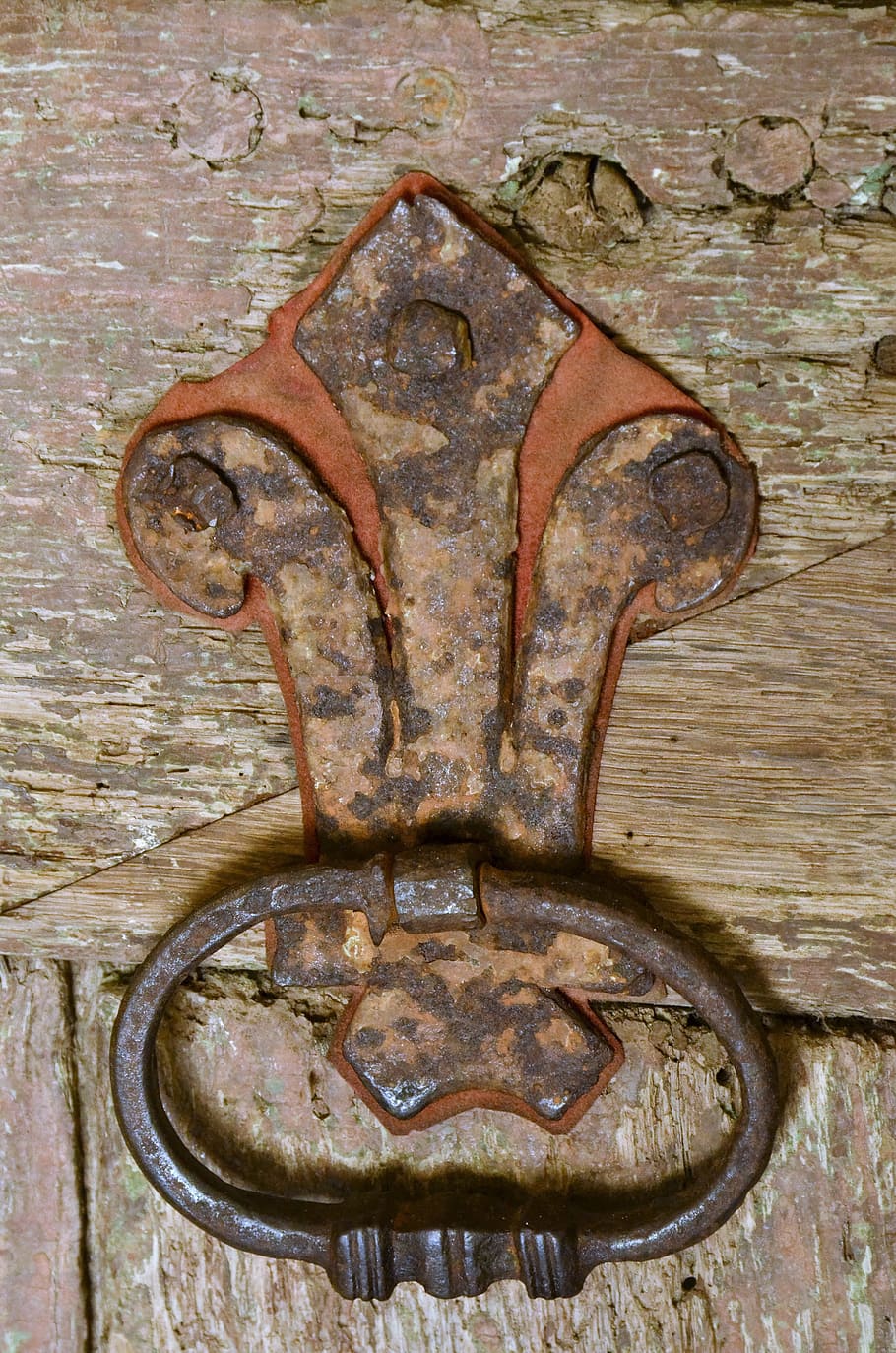 knocker, throb, door, door knocker, metal, rust, old, antique HD wallpaper
