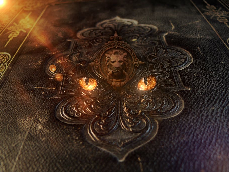 filigree wall decor, book, old, leather, ornaments, eyes, lion head HD wallpaper