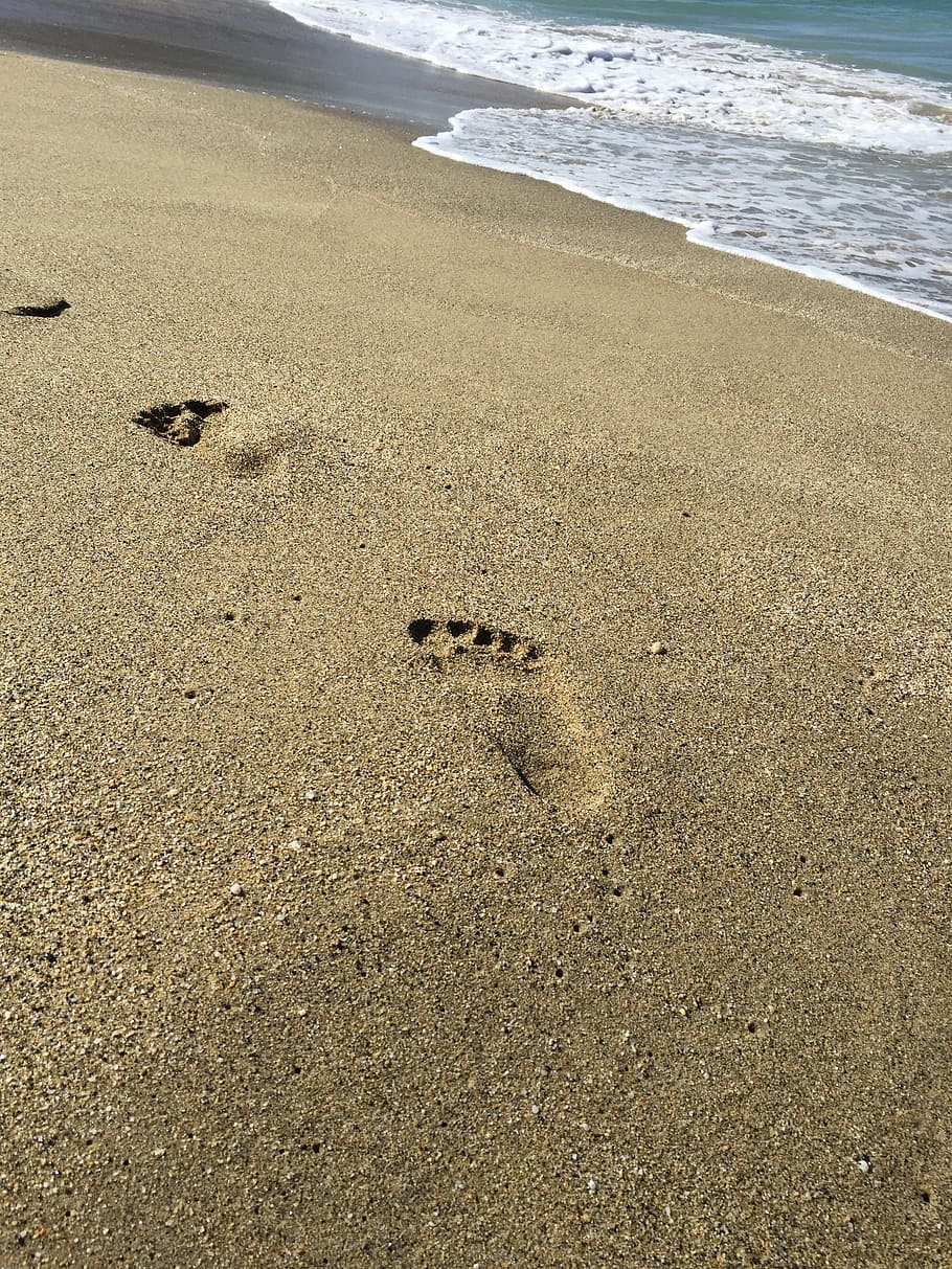 Sea, Tracks, Prints, Resort, Vacation, beach, sand, footprint