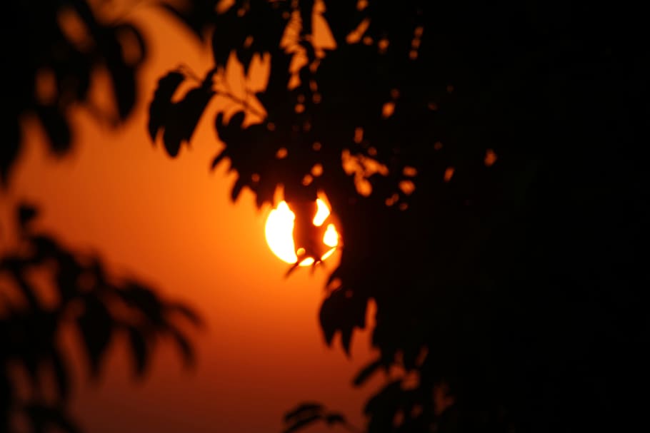 sunset, shadow, sky, nature, travel, silhouette, sunrise, summer HD wallpaper