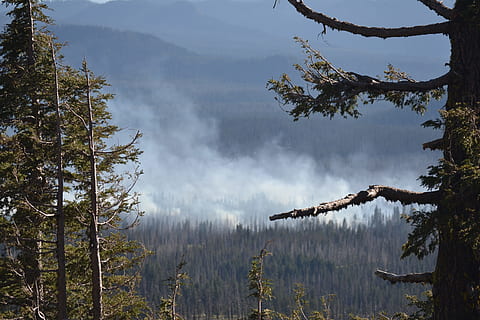 Wild Fire, Forest Fire, Oregon, natural, destruction, nature HD wallpaper