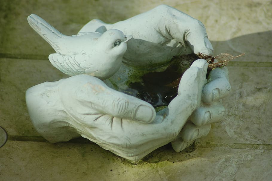 drinking trough, bird, hands, sculpture, art and craft, statue HD wallpaper