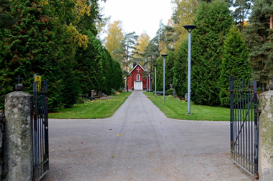 port, finnish, vantaa, cemetery, tree, plant, the way forward, HD wallpaper