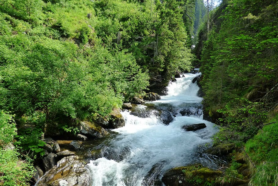 bach, river, wild, waters, nature, stones, forest, flow, creek HD wallpaper