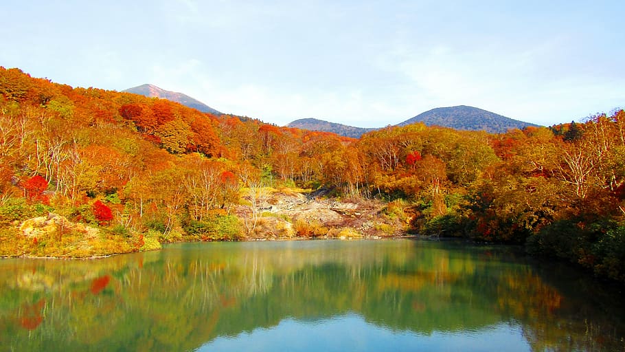 autumn, sky, autumnal leaves, cloud, landscape, lake, fall of japan, HD wallpaper