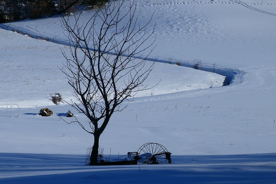 landscape, winter scenery, snow, tree, agricultural matèriel HD wallpaper