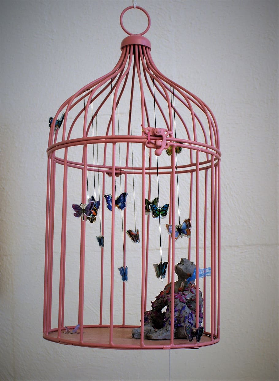 cage, art, sculpture, sound, imprisoned, butterfly, caught, HD wallpaper