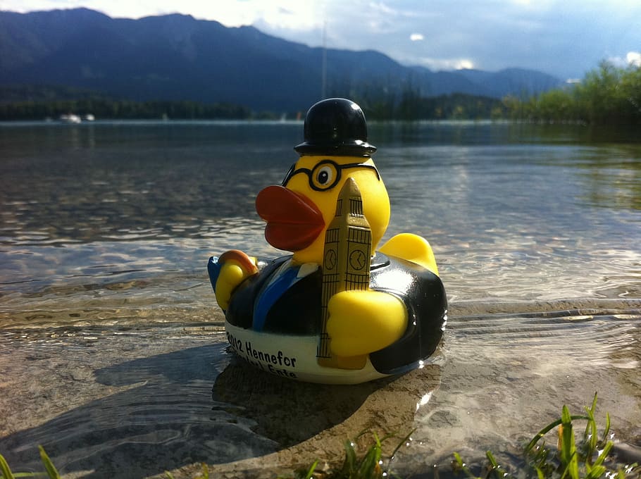 Duck, Lake, Lake, Mountains, water, day, yellow, kayak, nature HD wallpaper