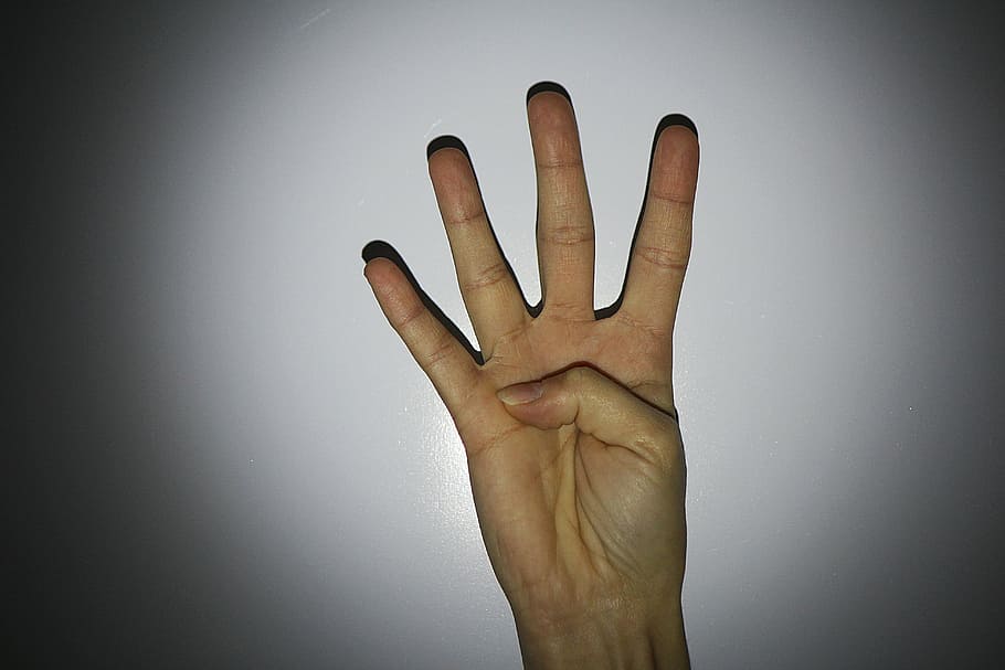 hand, finger, four, human hand, human body part, studio shot HD wallpaper
