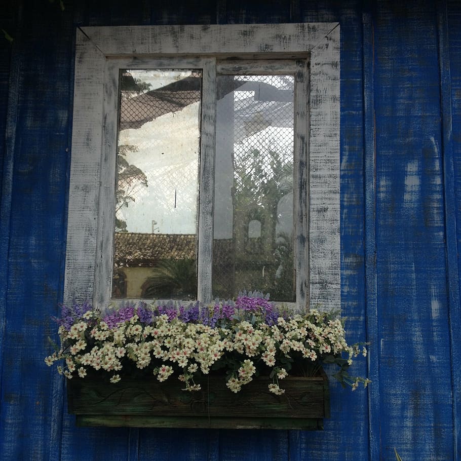 flowers, window, balcony, flowering plant, architecture, built structure HD wallpaper