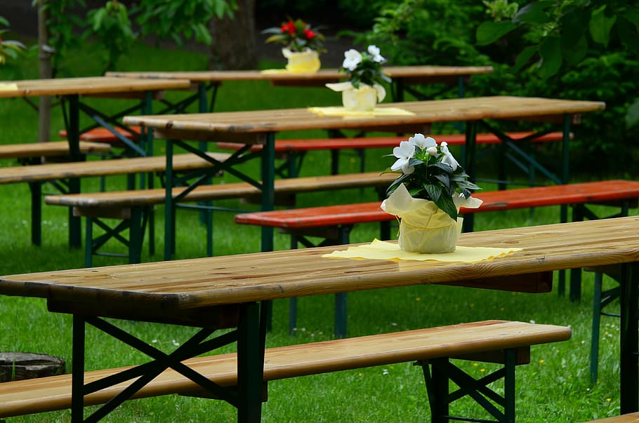 brown wooden picnic tables near green leaf plants during daytime, HD wallpaper