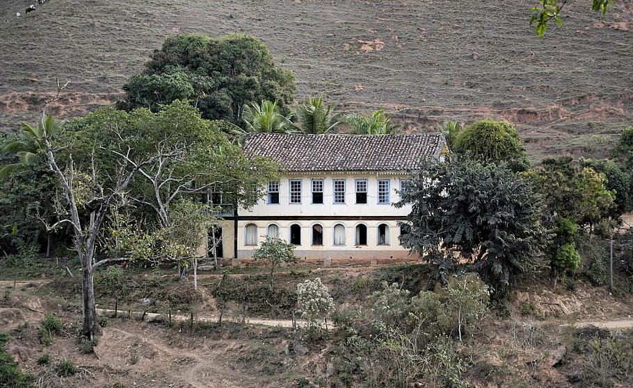 minas, brazil, home, roça, farm, architecture, tree, plant, HD wallpaper